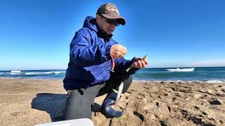 【シロギスの投げ釣り】冬の鹿島灘サーフでシロギスを狙う