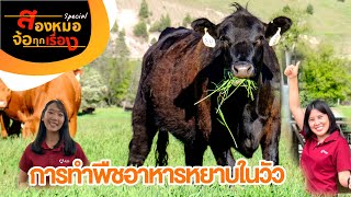 #การทำพืชอาหารหยาบในวัว #สองหมอ จ้อทุกเรื่อง - Special | Ruminant |