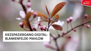 6. Kiezspaziergang digital: Blankenfelde-Mahlow