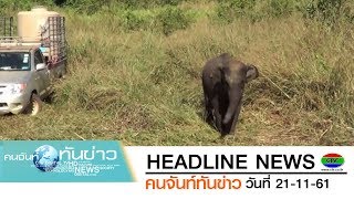 ชาวบ้านแก่งหางแมวช่วยลูกช้างป่าติดบ่วงนายพราน | CTV คนจันท์ทันข่าว