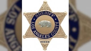 LA County Sheriff's Official Resigns Amid Racist Email Controversy