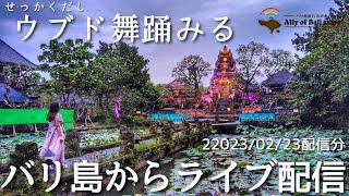 【バリ島ライブ】皆でウブドエリアの舞踊をみよう！2023/02/23配信分