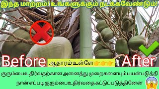 தென்னையில் குரும்பைஉதிர்வதை எளிய முறையில் தடுப்பது எப்படி/Simple way to prevent scurvy in coconut