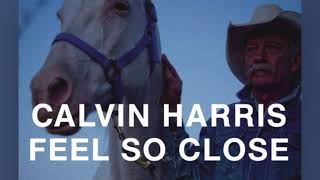Calvin Harris - Feel So Close (Official Lyrics)