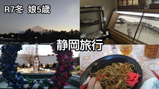 静岡旅行 富士宮焼きそば  リサとガスパールタウン  奇石博物館