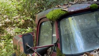 Atomic 64 Dodge D100 revive Chapter 1