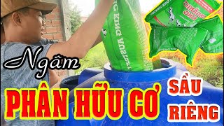 Ngâm phân hữu cơ chuẩn bị bón cho cây Sâu riêng | Chăm sóc cây sầu riêng #1 | 1ON Vlog @1onphulong