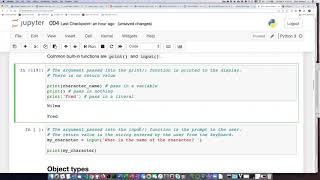 004d Built-in functions: print and input