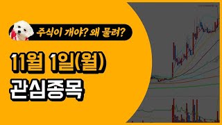 [웃지] 11월 1일 관심주 - KEC,광전자,나노신소재,글로벌텍스프리,까뮤이앤씨,EG,한송네오텍,덕양산업,이스트소프트,HSD엔진,바이오로그디바이스