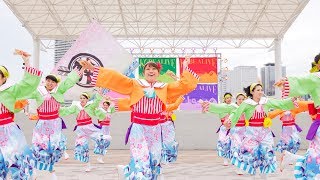 [4K] 湊や　KOBE ALIVE 2018　メインステージ (中央)