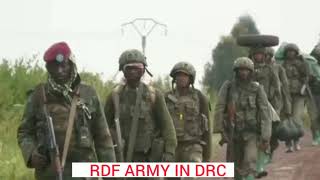 wazalendo against RDF: The situation in East of DEMOCRATIC REPUBLIC OF CONGO :