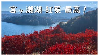 【神奈川】宮ヶ瀬湖の紅葉が最高すぎる！関東最大のダムと湖畔の絶景をご紹介！