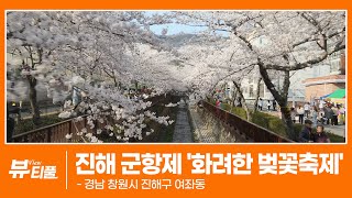 진해 군항제의 화려한 벚꽃축제