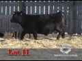 lot 11 southland 2012