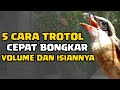 RAWATAN CENDET TROTOL AGAR BONGKAR ISIAN | BUKA PARUH | DAN GACOR | #bangucupchannel