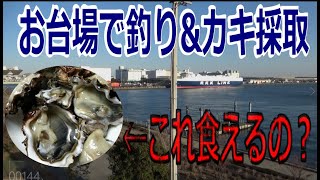 お台場の水の広場公園で釣り！ついでに東京湾の岩ガキを食べてみた