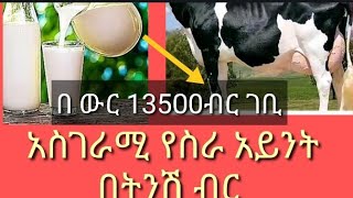 ትሽውዳናለ ያልትበላበት ስራ #work ideas simple tayp of work at home to make money 🤑 you can't believe