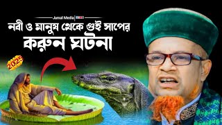 নবী ও মানুষ থেকে গুই সাপের করুন ঘটনা | মাওলানা মোবারক জালালী Maulana Mubarak zaali 2025