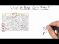 Pareto Principle Solution - Software Debugging