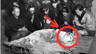 Hachiko - The Incredible Story of Japan's Most Loyal Dog