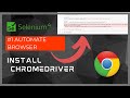 SELENIUM: How to INSTALL CHROME DRIVER Automate Browser with Selenium #1