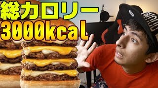 【大食い早食い】約9分で3000kcal摂取する男【ロッテリア 4-dan 絶品チーズバーガー】