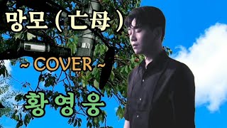 가수 / 황영웅 ( 망모 亡母 ) ( 원곡 나훈아 ) 5번 연속듣기