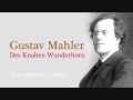 Mahler Des Knaben Wunderhorn Das irdische Leben