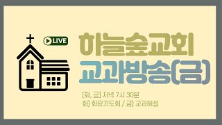 20231215(금) 하늘숲교회 금요일예배 Live