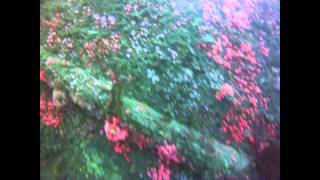 Ruby-E 8/17/14