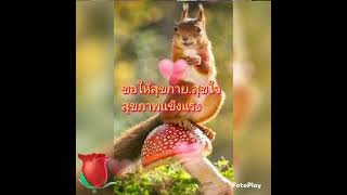 สวัสดีวันพฤหัสบดี 🐹 ขอให้มีความสุขครับบ