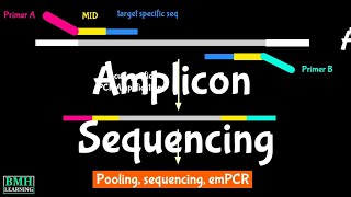 Amplicon Sequencing | Sequencing Of PCR Products | AmpliSeq |