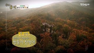 tbsTV [방학동] 방학동에서 놓쳐선 안 될 명소들!_ (드론촬영) 우리동네