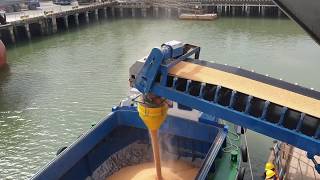 Port Side corn loading test with DSH SYSTEMS