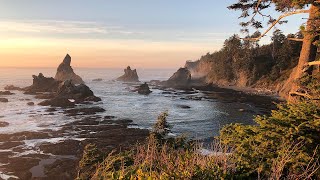 Don't miss this! Culinary Backpacking Trip in the Olympic National Park