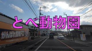 とべ動物園に行く道路。（愛媛県伊予郡砥部町） / Tobe Town