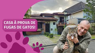 Tour of a super safe house for cats! - Alexandre Rossi Dr Pet