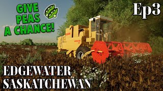 EDGEWATER SASKATCHEWAN | FS22 | #3 | GIVE PEAS A CHANCE! | Farming Simulator 22 PS5 Let’s Play.