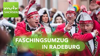 Faschingsumzug Radeburg 2024 - „Filmreif RABU – Klappe, die 67.“  | MDR