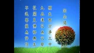 迴向偈－願生西方淨土中 Vow to be born on the western pure land