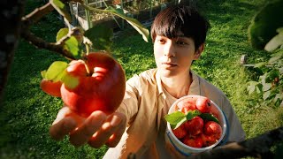 One Autumn Day Routine in Finnish Countryside | Harvest AMAZING Apples from Two 50-years-old Trees