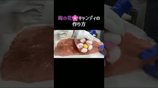 梅の花キャンディの作り方/How to make Japanese handmade candy/手工糖果/수제캔디 만들기/Japanese street food #shorts