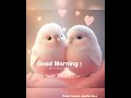 Good Morning WhatsApp Status Video #morning | Happy Morning wishes| Have a nice day|