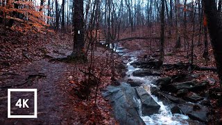 Walking in Thunderstorm, Binaural Light Rain and Nature Sounds for Sleep and Study | ASMR