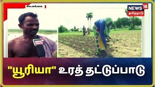 சிவகங்கை மாவட்டத்தில் உரத்தட்டுப்பாடு | நெல் சாகுபடிக்கு தயாராகிய விவசாயிகள் ஏமாற்றம்