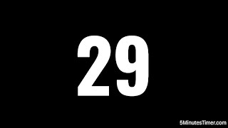 29 Second Timer - Precise & Reliable Countdown