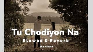 Tu Chodiyon Na | Ronit Vinta | Slowed & Reverb |