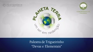 Trigueirinho - Planeta Terra, um ser em redenção #6, \