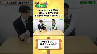 【園芸の基本】初心者でも簡単にできる！水耕栽培のポイントを解説！🧑‍🌾〜Fさんと一緒にやってみましょう！〜【園芸塾】【ハイポネックス】#shorts