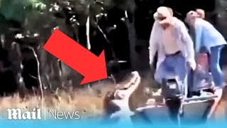 Crocodile attack: Terrifying moment huge preditor lunges at a boat full of tourists in Bolivia